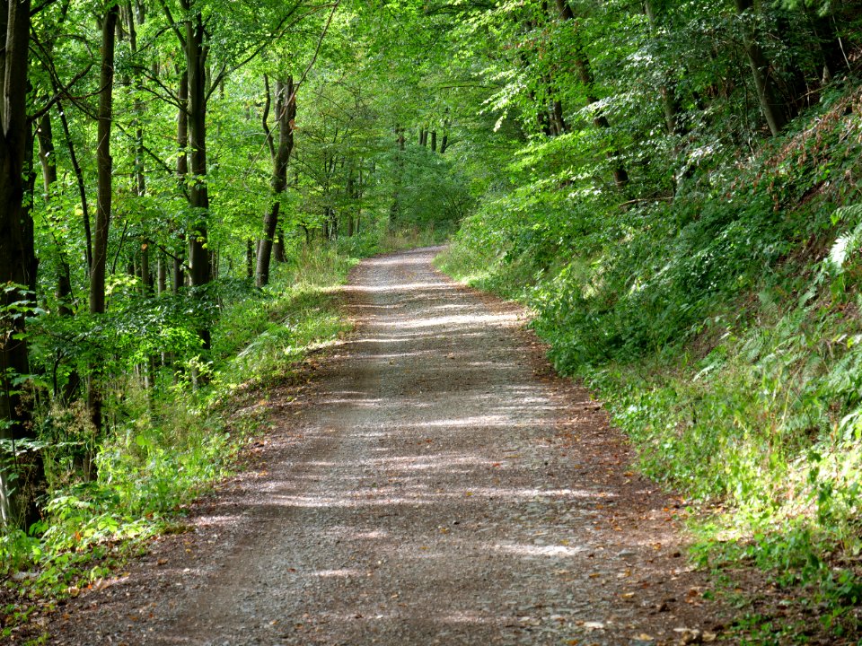 Trail along Rurtalsperre in Simmerath 07