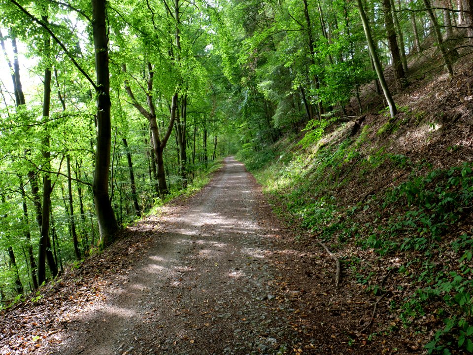 Trail along Rurtalsperre in Simmerath 05