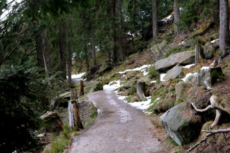 Trail around Mummelsee 2020-03-14 01