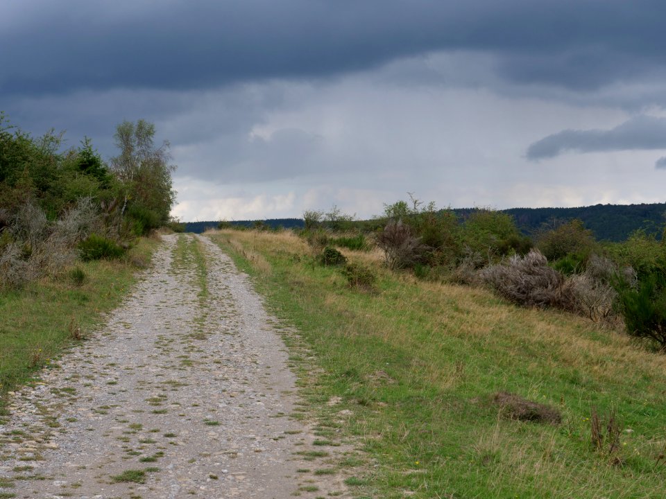 Trail at Dreiborner Hochfläche in September 2019 05