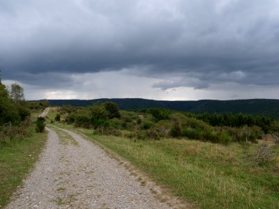 Trail at Dreiborner Hochfläche in September 2019 06