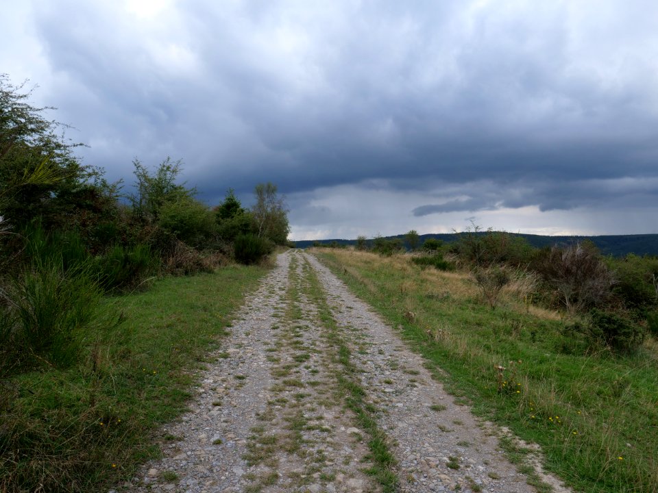 Trail at Dreiborner Hochfläche in September 2019 04