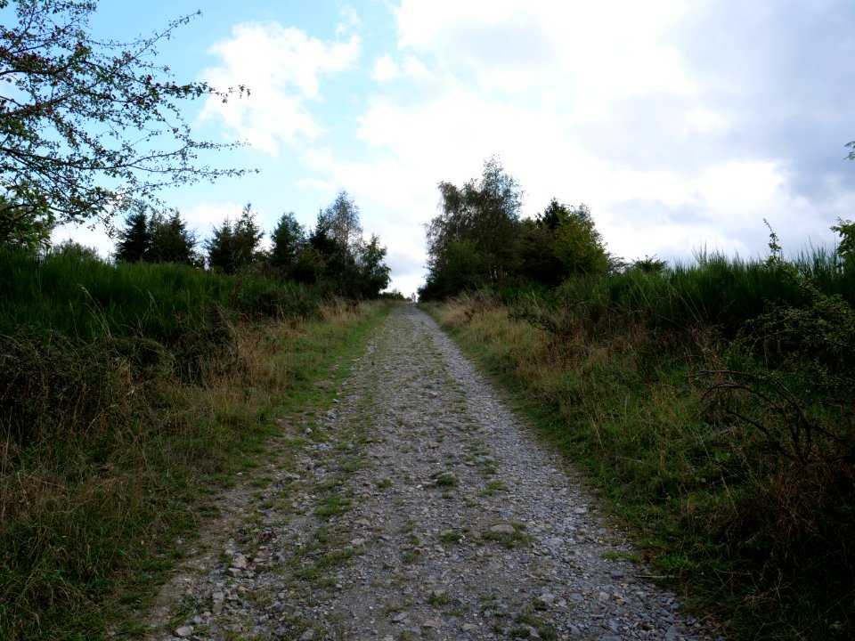 Trail at Dreiborner Hochfläche in September 2019 01