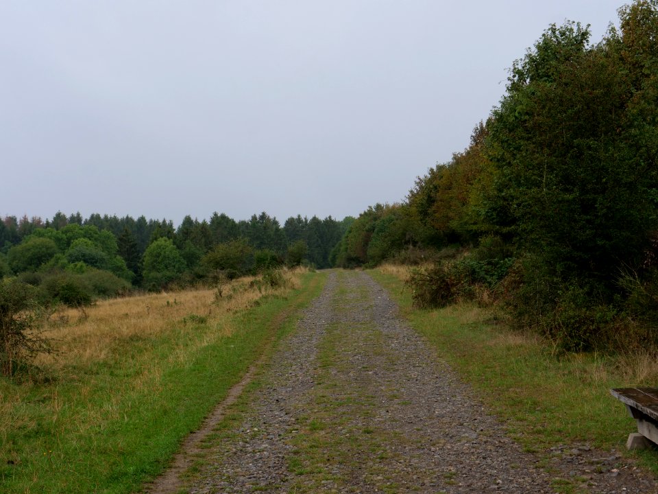 Trail at Dreiborner Hochfläche in September 2019 08