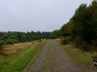 Trail at Dreiborner Hochfläche in September 2019 08
