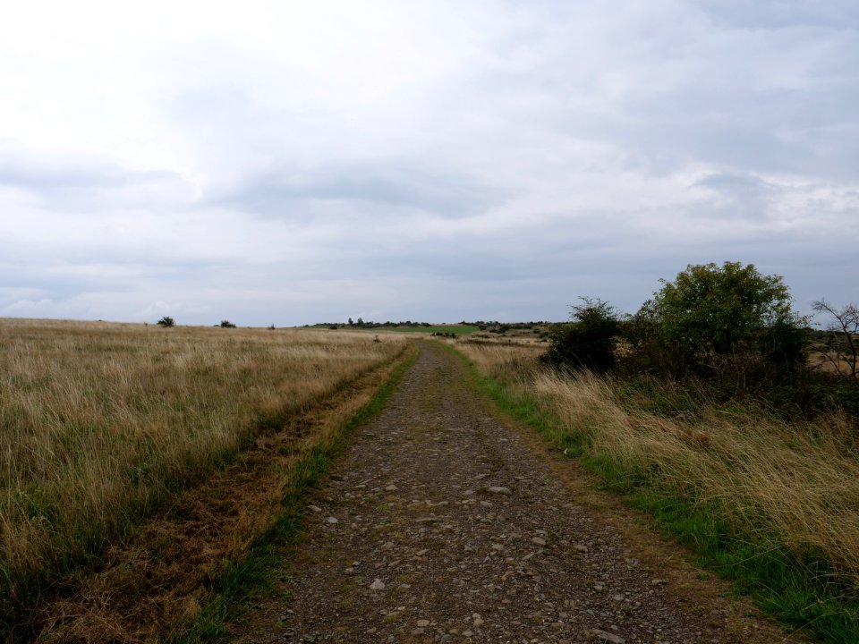 Trail at Dreiborner Hochfläche between Müsauelsberg and Leykaul in September 2019 04