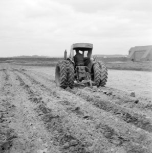 Tractor Fordson-Major met Ferguson woeler, Bestanddeelnr 159-0754 photo