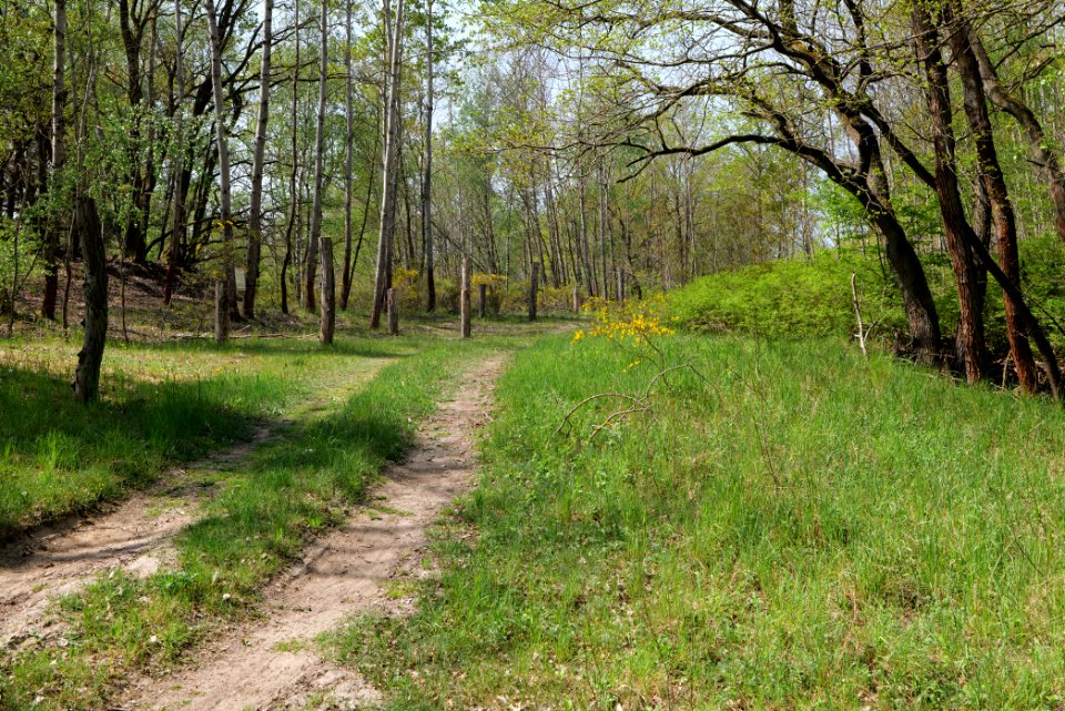 Track in Döberitzer Heide 2020-05-08 18