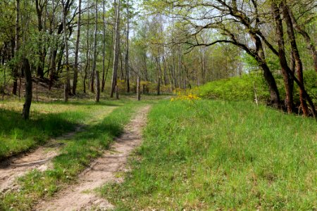 Track in Döberitzer Heide 2020-05-08 18