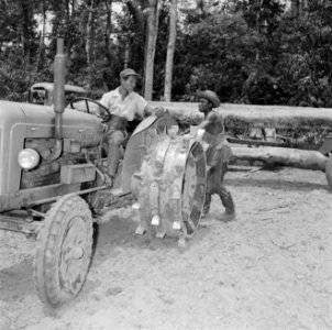 Tractor in het bos bezig met het slepen van boomstammen, Bestanddeelnr 252-2536