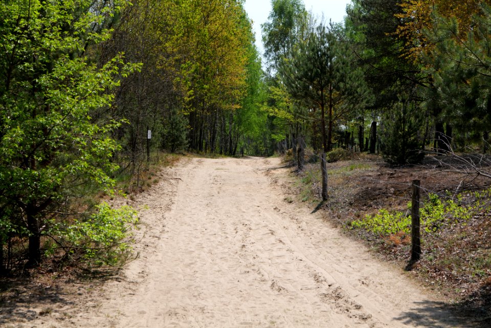 Track in Döberitzer Heide 2020-05-08 111