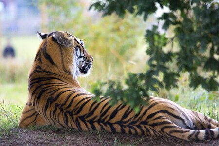 Zoo close endangered