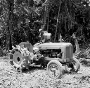 Tractor bezig met het vervoer van boomstammen, Bestanddeelnr 252-4815 photo