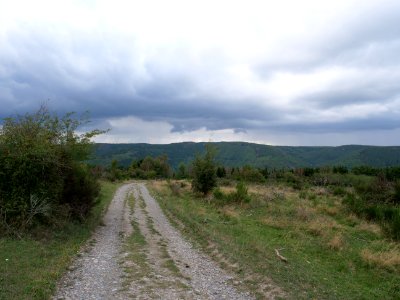 Trail at Dreiborner Hochfläche in September 2019 03
