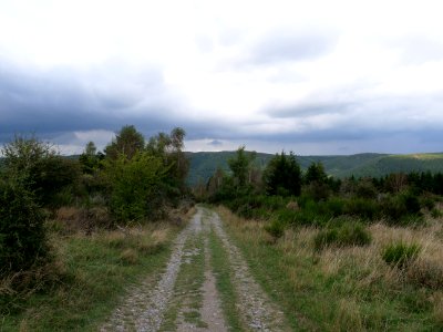 Trail at Dreiborner Hochfläche in September 2019 02