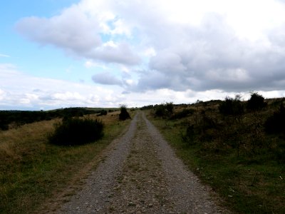 Trail at Dreiborner Hochfläche in September 2019 07