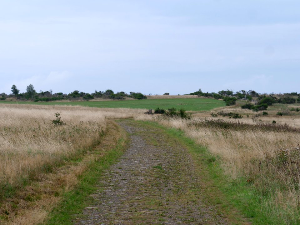 Trail at Dreiborner Hochfläche between Müsauelsberg and Leykaul in September 2019 05