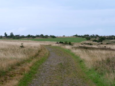 Trail at Dreiborner Hochfläche between Müsauelsberg and Leykaul in September 2019 05