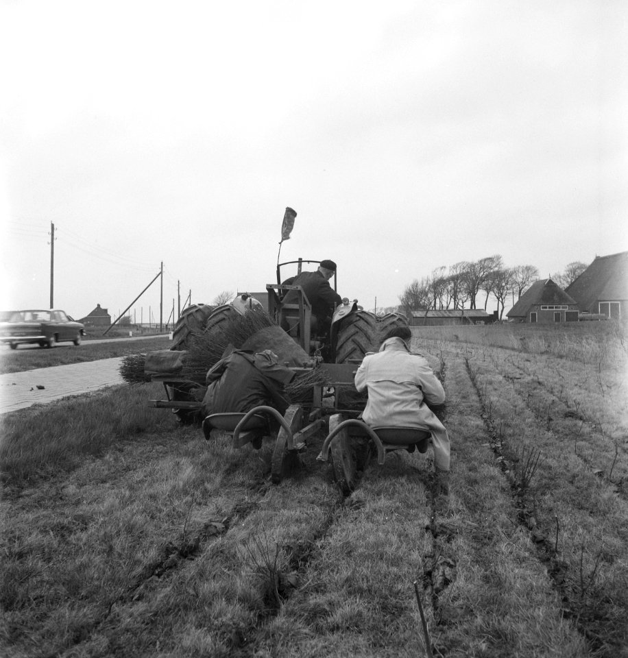 Tractor met zitren bezig met ploegen, Bestanddeelnr 253-4397