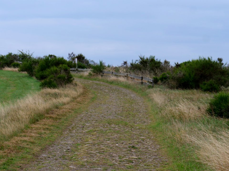 Trail at Dreiborner Hochfläche between Müsauelsberg and Leykaul in September 2019 02