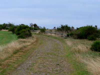 Trail at Dreiborner Hochfläche between Müsauelsberg and Leykaul in September 2019 02