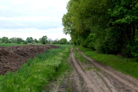 Track in Nauen 2020-05-15 15