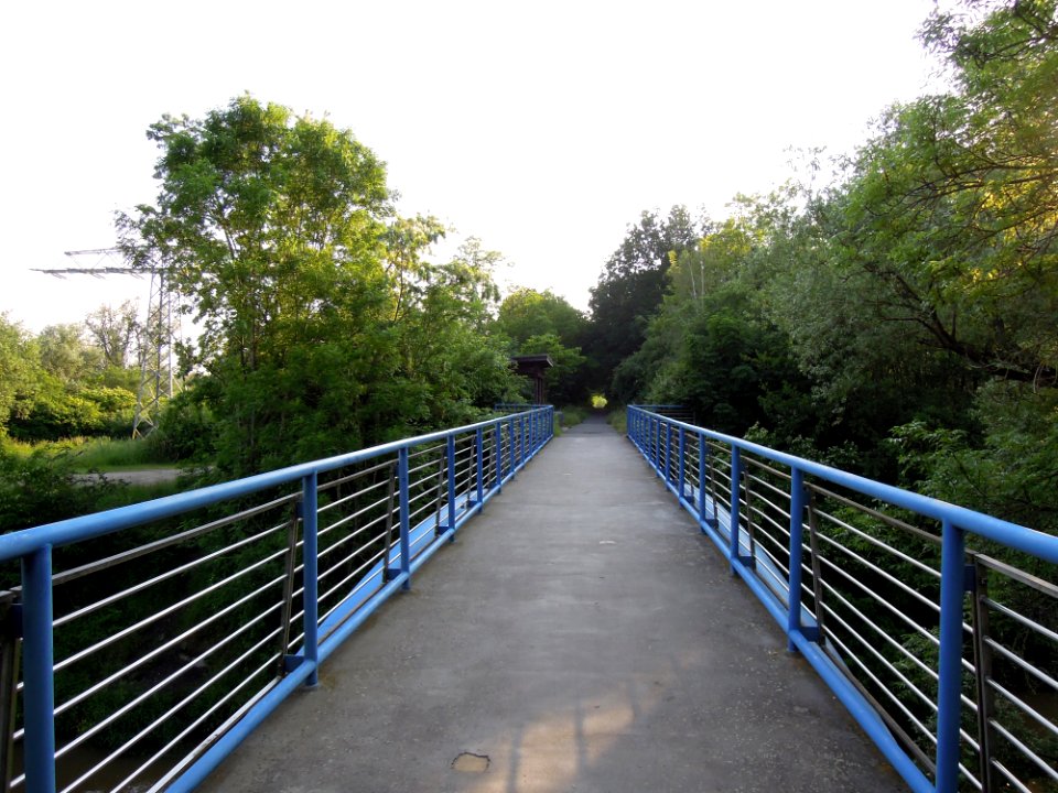 Trachenauer Pleißebrücke -Gehbelag, Fahrbahn- im Juni 2021
