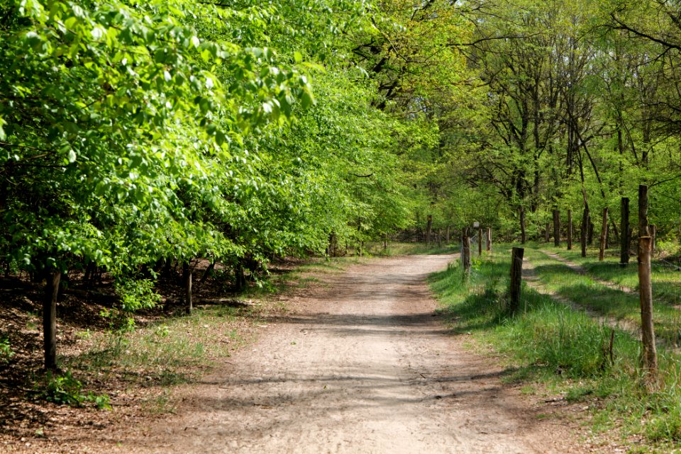 Track in Döberitzer Heide 2020-05-08 15