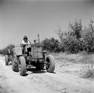 Tractor met aanhanger rijdend over een landweg, Bestanddeelnr 255-0601