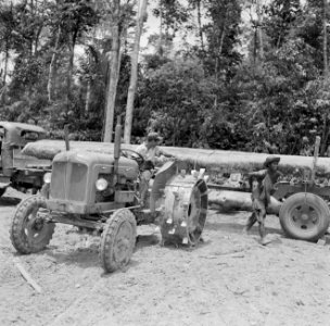 Tractor in het bos bezig met het slepen van boomstammen, Bestanddeelnr 252-2537 photo