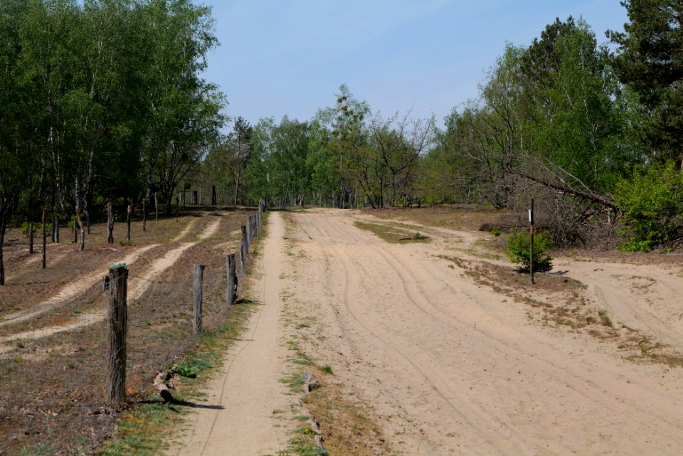 Track in Döberitzer Heide 2020-05-08 109