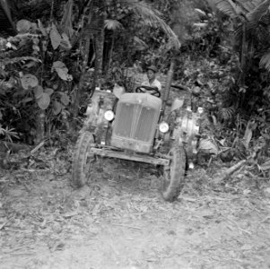 Tractor in het bos, Bestanddeelnr 252-2517