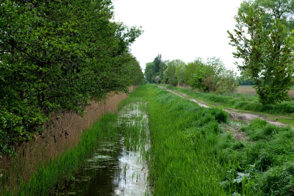 Track in Nauen 2020-05-15 12