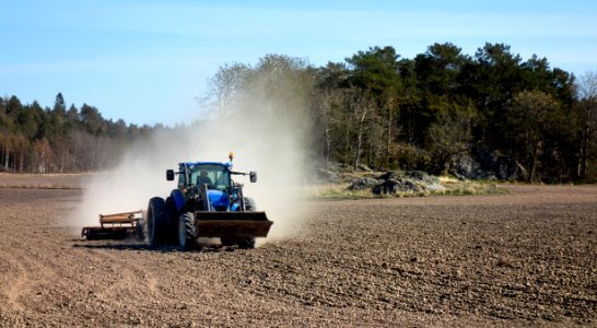 Tractor using a cultipacker in Gåseberg 6 photo