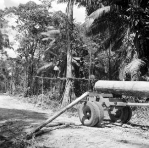 Tractor bezig met het vervoer van boomstammen, Bestanddeelnr 252-4814