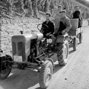 Tractor met oogstkuip en druivenplukkers op de wijnberg, Bestanddeelnr 254-4186