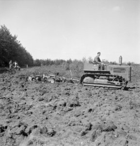 Tractor met rupsbanden met eg (Ransomes TD 9), Bestanddeelnr 169-0369