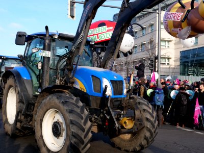 Tractor at the "Wir Haben Es Satt!" Demonstration 2019 44