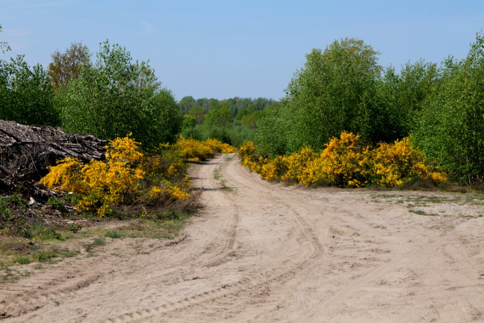 Track in Döberitzer Heide 2020-05-08 63