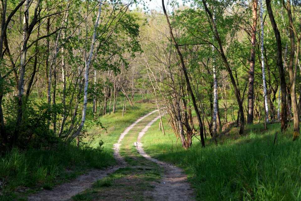 Track in Döberitzer Heide 2020-05-08 79