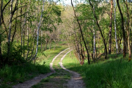 Track in Döberitzer Heide 2020-05-08 79
