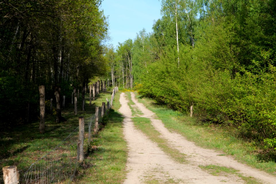 Track in Döberitzer Heide 2020-05-08 74