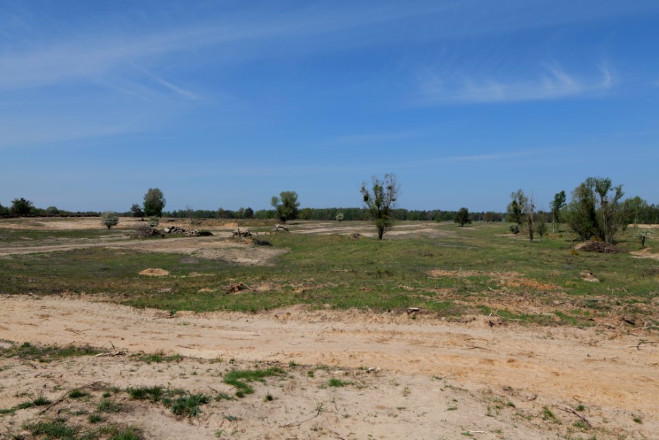 Track in Döberitzer Heide 2020-05-08 42