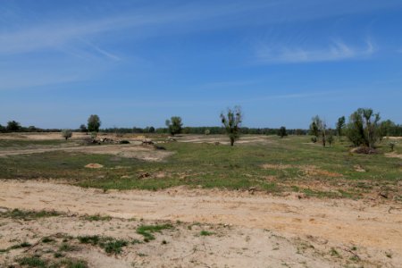 Track in Döberitzer Heide 2020-05-08 42