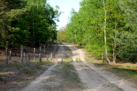 Track in Döberitzer Heide 2020-05-08 67