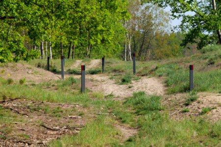 Track in Döberitzer Heide 2020-05-08 65
