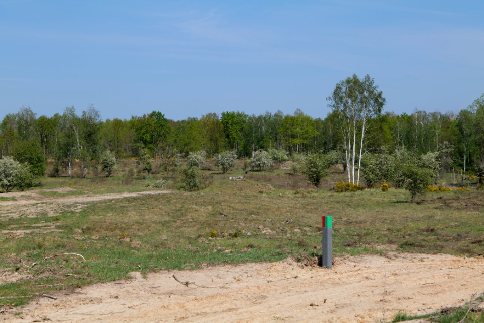 Track in Döberitzer Heide 2020-05-08 41