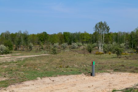 Track in Döberitzer Heide 2020-05-08 41