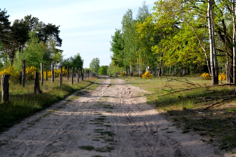 Track in Döberitzer Heide 2020-05-08 75