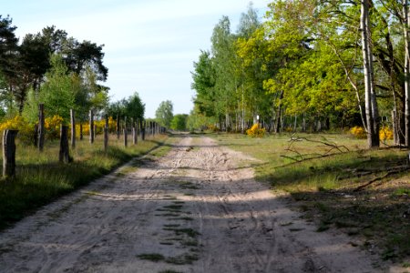 Track in Döberitzer Heide 2020-05-08 75